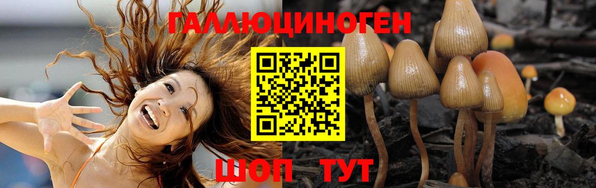 цены наркотик  Псилоцибиновые грибы прущие грибы  Вход с VPN  Холмск 